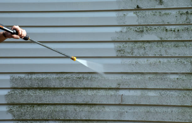 Deck Cleaning Services in Mackinac Island, MI